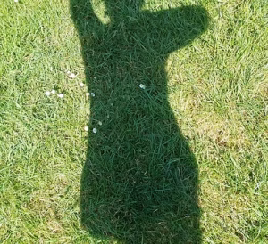 illu qigong